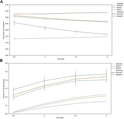 Imputation of Ancient Whole Genome Sus scrofa DNA Introduces Biases Toward Main Population Components in the Reference Panel